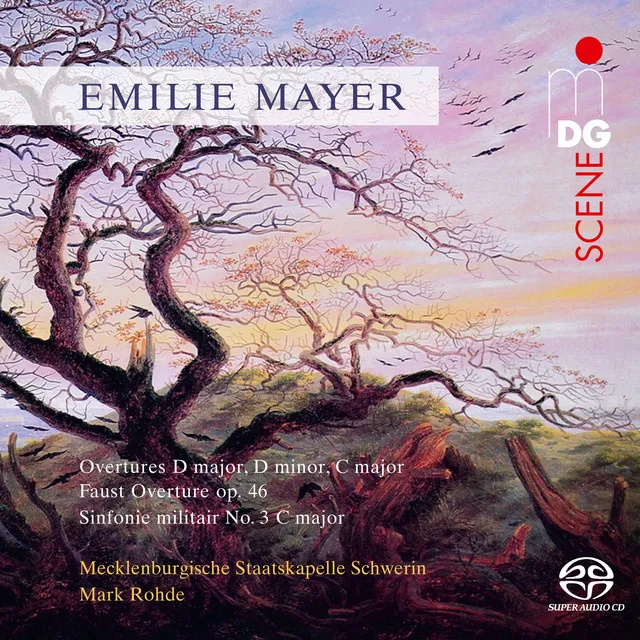 Mayer: Orchestral Works