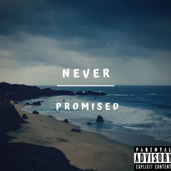 Never Promised by Josh Anthony