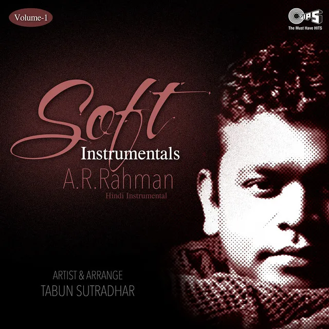 Soft Instrumentals: A. R. Rahman, Vol. 1