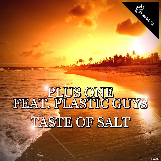 Taste of Salt - Radio Edit