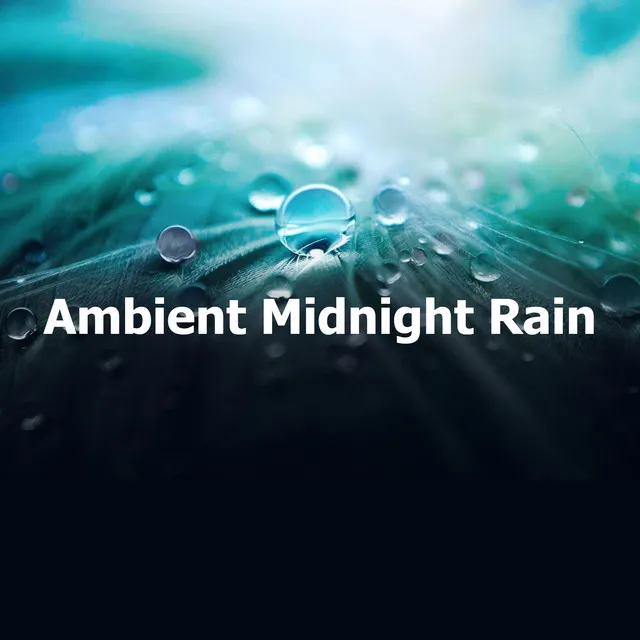 Ambient Midnight Rain