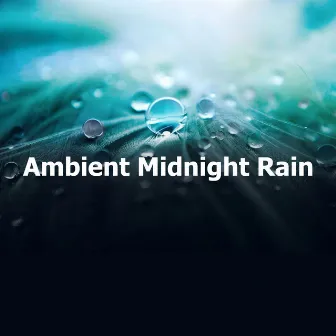 Ambient Midnight Rain by Naturalis