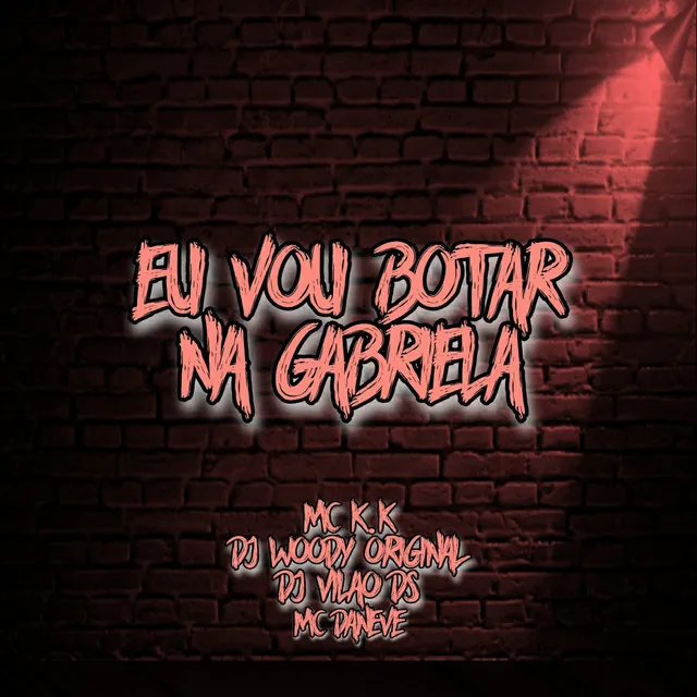 Eu Vou Botar na Gabriela (feat. Dj Vilão DS)