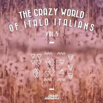 The Crazy World Of Italo Italians Vol.5 by Fab Mayday