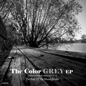 The Color Grey EP (Mummified Bootlegs 2013 / 2014) by The Moodyfreaks