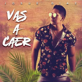 Vas a Caer by Josue Diaz