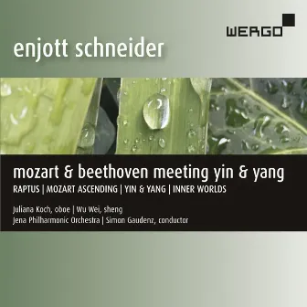 Enjott Schneider: Mozart & Beethoven Meeting Yin & Yang by Simon Gaudenz