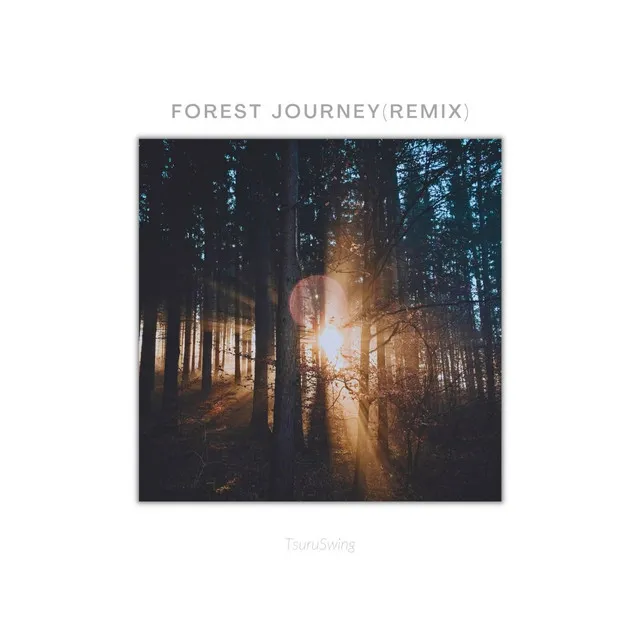 Forest Journey - Remix Radio Edit