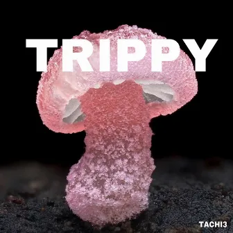 trippy by Lil tachi