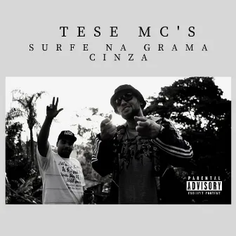 Surfe na Grama Cinza by Tese Mcs