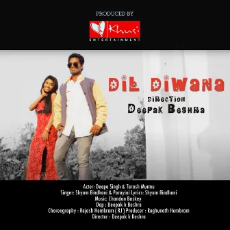 Dil Diwana by Unknown Artist