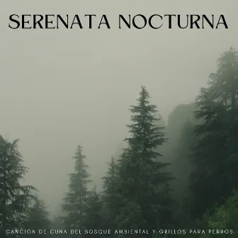 Serenata Nocturna: Canción De Cuna Del Bosque Ambiental Y Grillos Para Perros by Musica Para Perros Paz