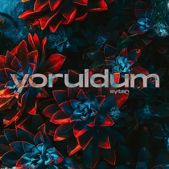 Yoruldum by Eytan