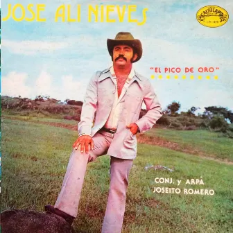 El Pico De Oro by Jose Ali Nieves