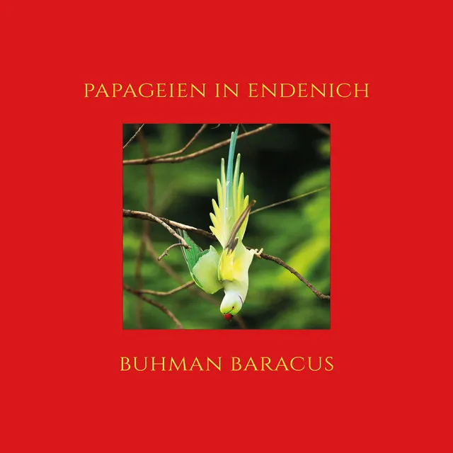 Papageien in Endenich