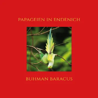 Papageien in Endenich by GRND LRCNY