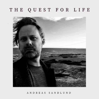 The Quest For Life by Andreas Sandlund