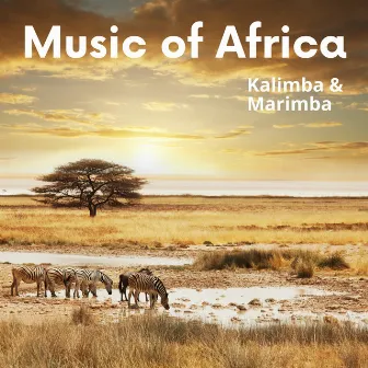 Music of Africa (Kalimba & Marimba) by Unknown Artist