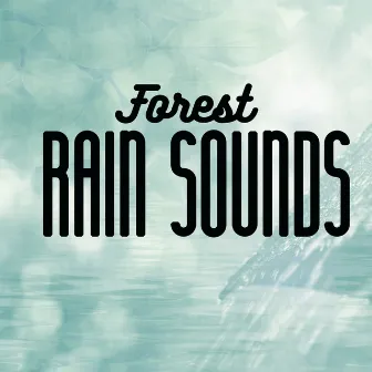 Forest Rain Sounds by Rain for Deep Sleep