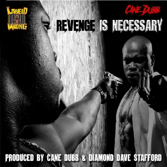 Revenge Is Necessary by Cane Dubb