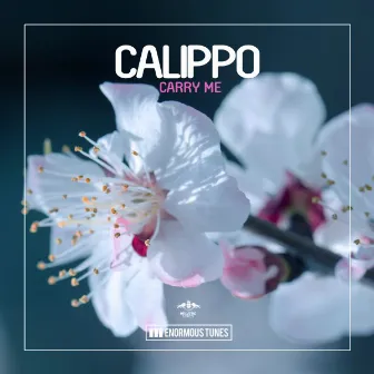 Carry Me by Calippo