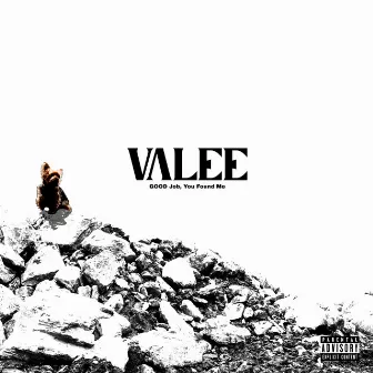 GOOD Job, You Found Me by Valee