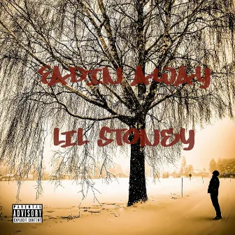 Fadin Away by Lil Stoney