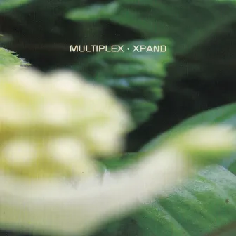 XPAND by Multiplex