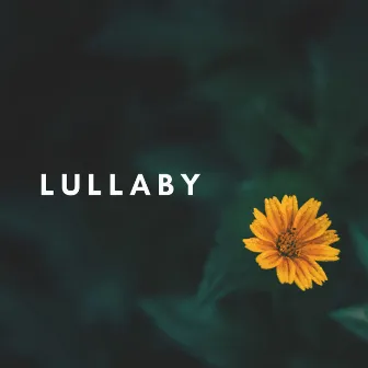 Lullaby by Ivan Dominik