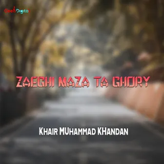 Zaeghi Maza Ta ghory by Khair Muhammad Khandan