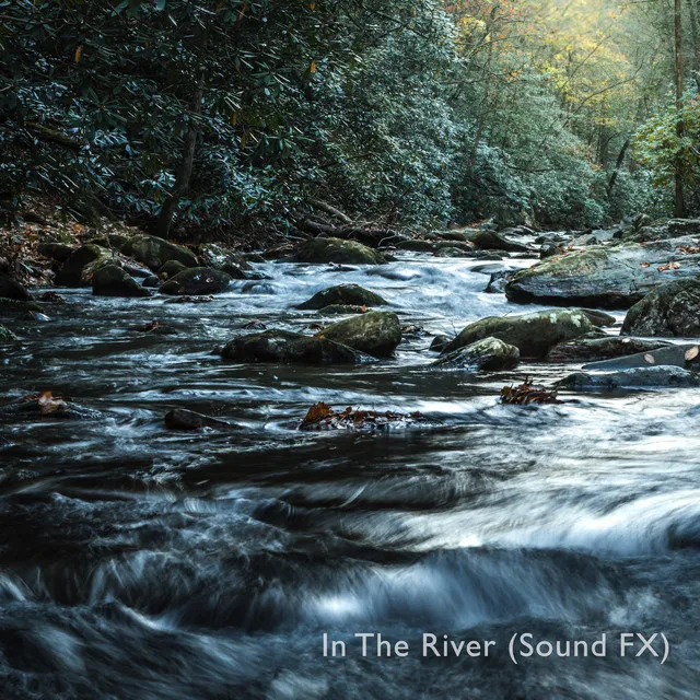 In The River (Sound FX)