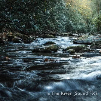 More Swedish River Sounds by In The River (Sound FX)