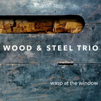 Wasp at the Window by Wood & Steel Trio