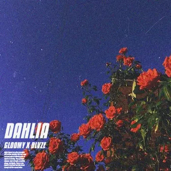 DAHLIA by Gloomy