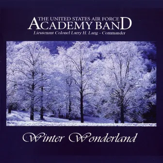 Winter Wonderland by Lieutenant Colonel Larry H. Lang