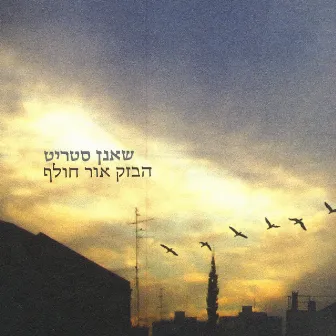 הבזק אור חולף by Sha'anan Streett