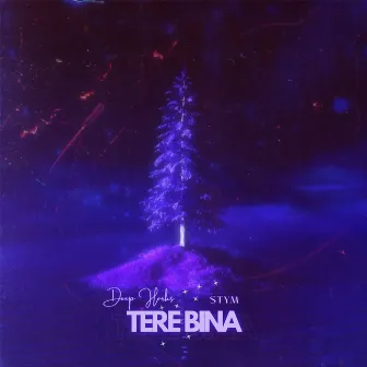 Tere Bina by Deep Harks