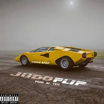 Judo Flip by Louie Bagz