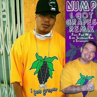 I Got Grapes Remix by Nump