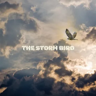 The Storm Bird by DMartino