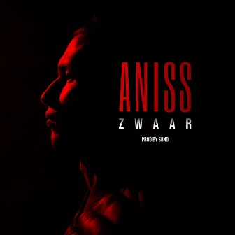 Zwaar by Aniss