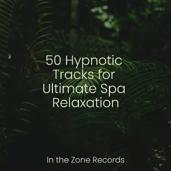 50 Hypnotic Tracks for Ultimate Spa Relaxation by Dog Music