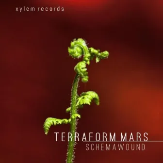 Terraform Mars by Schemawound