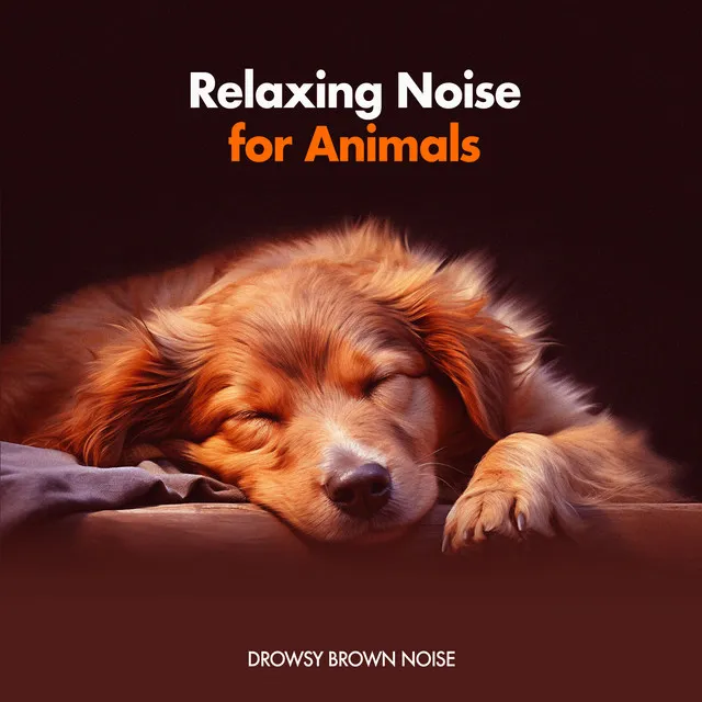 Relaxing Noise for Animals