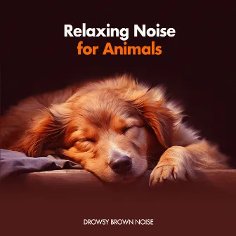 Relaxing Noise for Animals by Drowsy Brown Noise