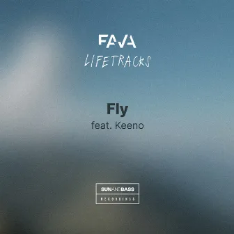 Fly by MC Fava