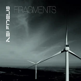 Fragments by Nei Fidelis