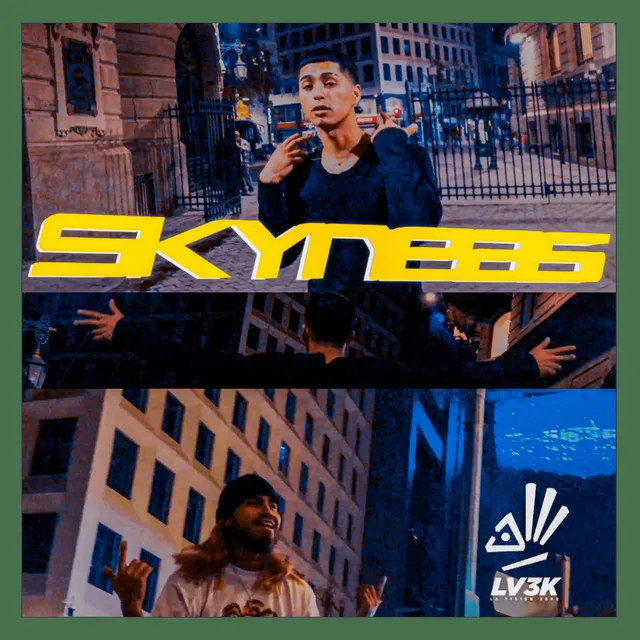 Skyneas