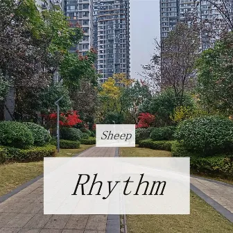 Rhythm by Sheep