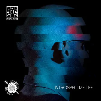 Introspective Life by Endless Project Sound